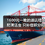 1600元一晚的酒店墙上爬满活虫 只补偿积分和一盒茶叶（图1）