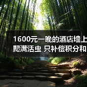 1600元一晚的酒店墙上爬满活虫 只补偿积分和一盒茶叶（图4）