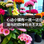 心动小镇有一说一这些湖鸟的眼神有点不太聪明的亚子（图2）