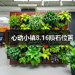 心动小镇8.16陨石位置（图2）