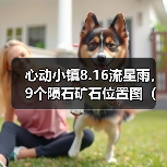 心动小镇8.16流星雨，9个陨石矿石位置图（详细版）（图2）