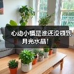 心动小镇是谁还没领到月光水晶！（图1）
