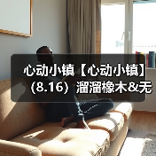 心动小镇【心动小镇】（8.16）溜溜橡木&无暇萤石（图1）