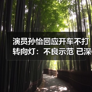 演员孙怡回应开车不打转向灯:不良示范 已深刻反思(图3) 演员孙怡回应开车不打转向灯:不良示范 已深刻反思(图3)
