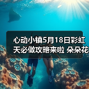 心动小镇5月18日彩虹天必做攻略来啦 朵朵花束位置（图4）