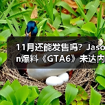 11月还能发售吗?Jason爆料《GTA6》未达内容完成(图4) 11月还能发售吗?Jason爆料《GTA6》未达内容完成(图4)