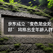 京东成立“变色龙业务部” 将推出全年龄人群AI玩具(图1) 京东成立“变色龙业务部” 将推出全年龄人群AI玩具(图1)