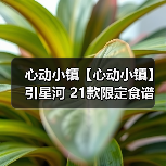 心动小镇【心动小镇】引星河 21款限定食谱 全攻略(图1) 心动小镇【心动小镇】引星河 21款限定食谱 全攻略(图1)