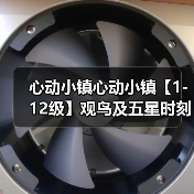 心动小镇心动小镇【1-12级】观鸟及五星时刻攻略（图4）