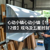 心动小镇心动小镇【1-12级】观鸟及五星时刻攻略（图1）