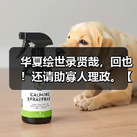 华夏绘世录贤哉，回也！还请助寡人理政。【鲁国政务选择】