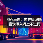 洛克王国：世界吸泥鸥 | 喜欢吸入泥土不过偶尔会被噎住