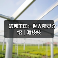 洛克王国：世界精灵介绍｜海枝枝（图4）