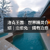 洛克王国：世界精灵介绍｜治愈兔：拥有治愈能力的神奇精灵