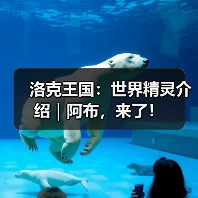 洛克王国:世界精灵介绍|阿布,来了!(图2) 洛克王国:世界精灵介绍|阿布,来了!(图2)