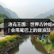 洛克王国：世界古钟蛇 | 会用尾巴上的拨浪鼓陪孩子们玩耍
