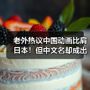 老外热议中国动画比肩日本！但中文名却成出海难题？（图3）