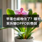 苹果也被难住了?曝苹果拆解OPPO折叠屏“求学”(图3) 苹果也被难住了?曝苹果拆解OPPO折叠屏“求学”(图3)