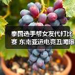泰国选手帮女友代打比赛 东南亚运电竞丑闻曝光(图4) 泰国选手帮女友代打比赛 东南亚运电竞丑闻曝光(图4)