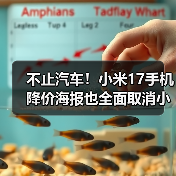 不止汽车！小米17手机降价海报也全面取消小字