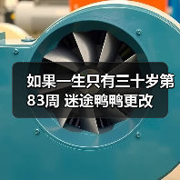 如果一生只有三十岁第83周 迷途鸭鸭更改（图2）