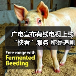 广电宣布有线电视上线“快看”服务 称是追剧神器（图3）