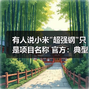 有人说小米 有人说小米