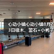 心动小镇心动小镇8月23日橡木、萤石+小鸭子位置（图3）