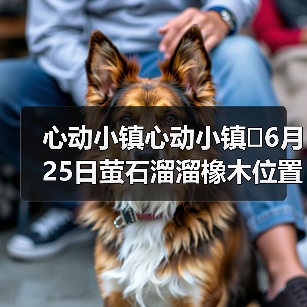 心动小镇心动小镇⭐6月25日萤石溜溜橡木位置攻略（图3）