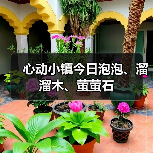 心动小镇今日泡泡、溜溜木、萤萤石（图3）