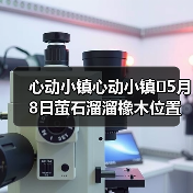 心动小镇心动小镇⭐5月8日萤石溜溜橡木位置攻略(图4) 心动小镇心动小镇⭐5月8日萤石溜溜橡木位置攻略(图4)
