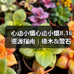 心动小镇心动小镇8.16资源指南｜橡木&萤石点位速码（图1）