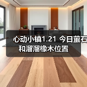 心动小镇1.21 今日萤石和溜溜橡木位置（图2）