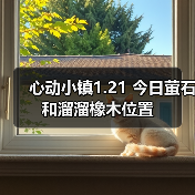 心动小镇1.21 今日萤石和溜溜橡木位置（图4）