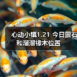 心动小镇1.21 今日萤石和溜溜橡木位置（图3）