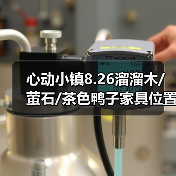 心动小镇8.26溜溜木/萤石/茶色鸭子家具位置（图2）