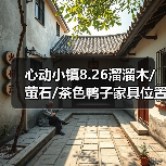 心动小镇8.26溜溜木/萤石/茶色鸭子家具位置（图3）