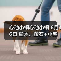 心动小镇心动小镇 8月16日 橡木、萤石+小鸭子（图1）