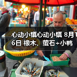 心动小镇心动小镇 8月16日 橡木、萤石+小鸭子（图2）