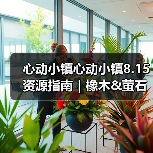 心动小镇心动小镇8.15资源指南|橡木&萤石点位速码(图3) 心动小镇心动小镇8.15资源指南|橡木&萤石点位速码(图3)