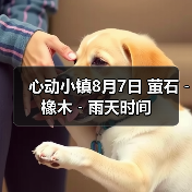 心动小镇8月7日 萤石﹣橡木﹣雨天时间（图4）