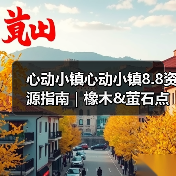 心动小镇心动小镇8.8资源指南｜橡木&萤石点位速码（图2）