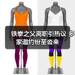 铁拳之父离职引热议 多家邀约纷至沓来（图3）