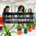 心动小镇心动小镇⭐7月26日萤石溜溜橡木位置攻略(图2) 心动小镇心动小镇⭐7月26日萤石溜溜橡木位置攻略(图2)