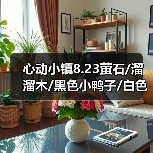 心动小镇8.23萤石/溜溜木/黑色小鸭子/白色鸭子位置（图4）