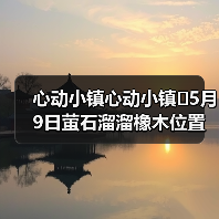 心动小镇心动小镇⭐5月9日萤石溜溜橡木位置攻略(图1) 心动小镇心动小镇⭐5月9日萤石溜溜橡木位置攻略(图1)