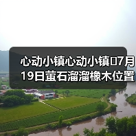 心动小镇心动小镇⭐7月19日萤石溜溜橡木位置攻略(图1) 心动小镇心动小镇⭐7月19日萤石溜溜橡木位置攻略(图1)