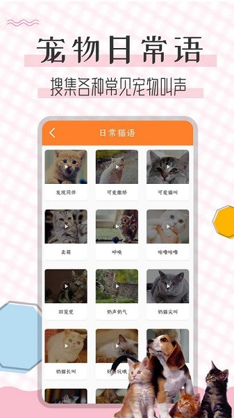 猫语翻译宝app 猫语翻译宝最新版