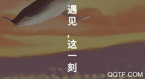 陌恋趣脱单App最新版 陌恋趣脱单App最新版